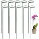 thumbnail image 1 of Rawiri Paquete de 10 ayudas para trepar para plantas de interior Soporte redondo para plantas altas y flores | Ayuda para trepar Monstera para jardín | Palitos para plantas para orquídeas, amarilis,, 1 of 7