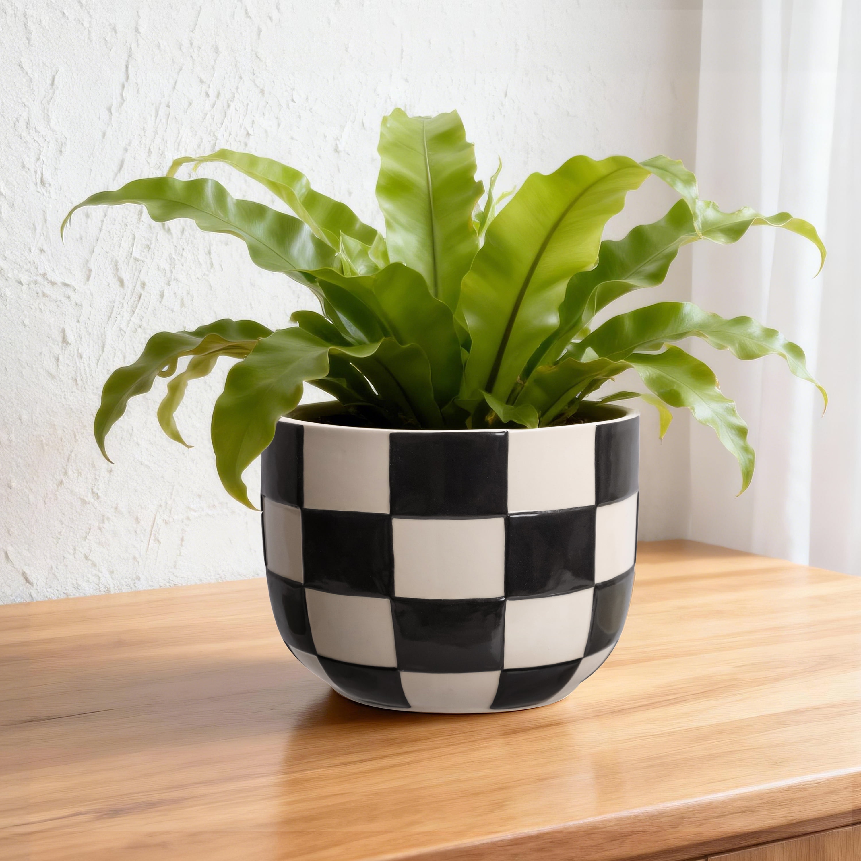 Mainstays Lennon 8.1" x 8.1" x 6" Round Black Checkered Ceramic Planter