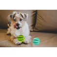 thumbnail image 5 of Pelota de juguete para perros, 2 pelotas de goma no tóxicas, pelota para perros para limpieza de dientes y juego de cachorros, pelota de juguete para perros y gatos pequeños y medianos JAMW Sencillez, 5 of 5