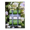 thumbnail image 2 of 6Pcs 3ml Rose / Lavande / Océan Parfum Naturel Huile Essentielle pour Diffuseur d'Arôme, 2 of 9