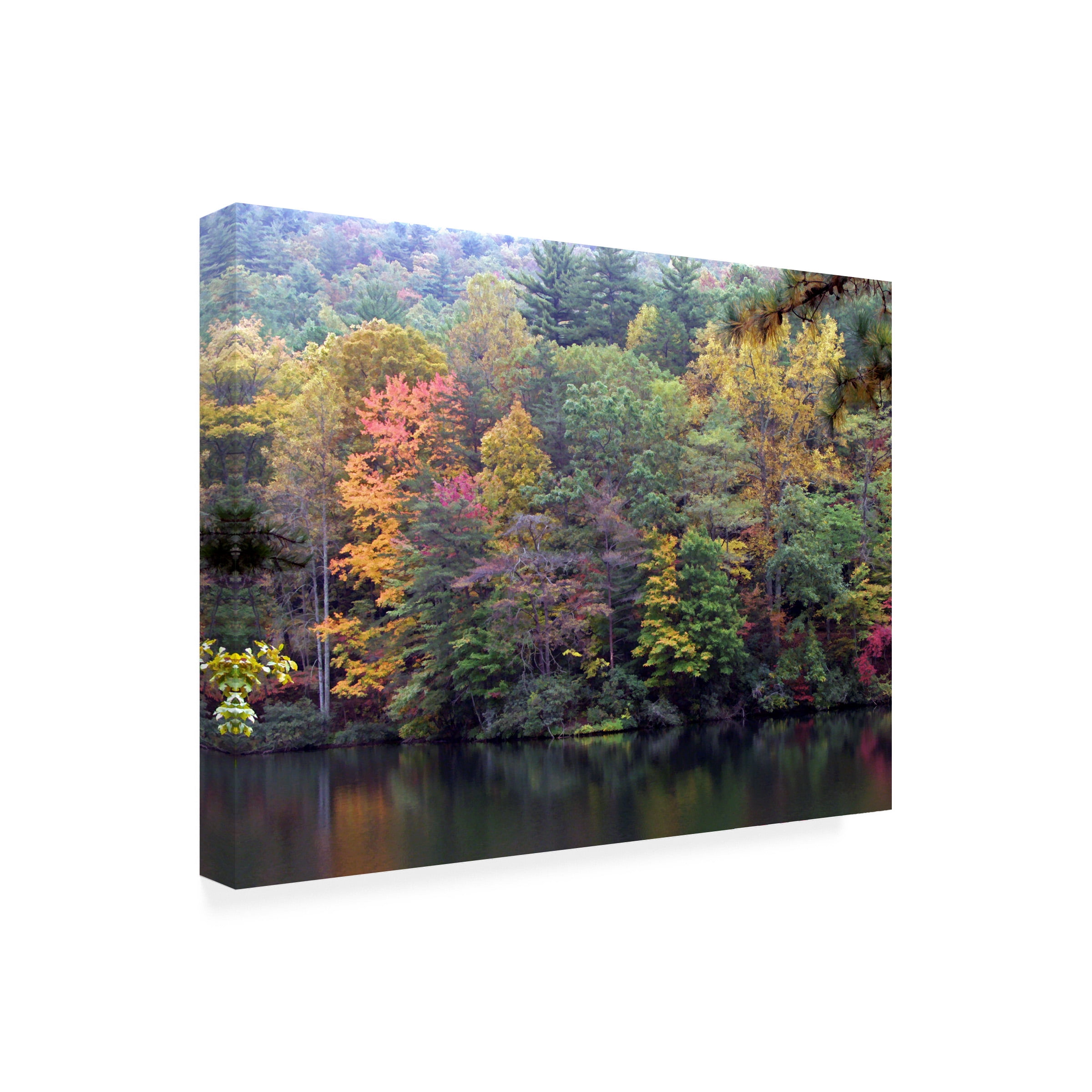 J.D. Mcfarlan 'Painted Hillside' Outdoor Canvas 18x24