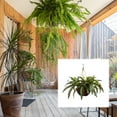 thumbnail image 5 of Pure Garden Boston Artificial Fern Plant Hanging Natural in Green, 5 of 6