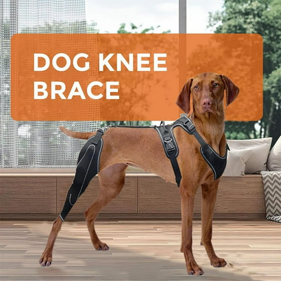 Dog Knee Bracket, Dog Hip Knee Leg Bracket
