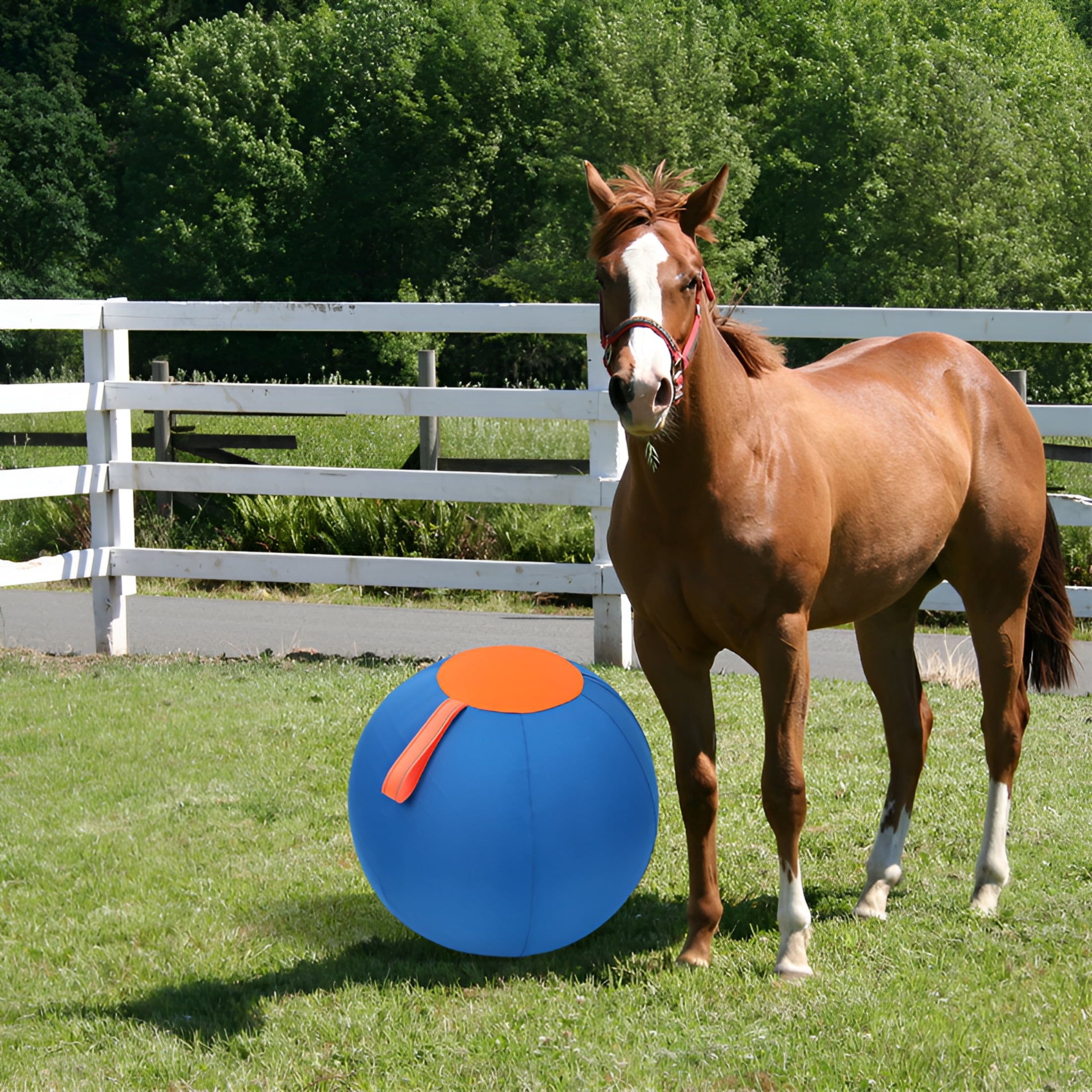 BESTSKY Horse Herding Ball - 25" Cover with Straps,Australian Shepherd,Cattle Dogs,Collie & Herding Dog,Giant Jolly Ball for Play