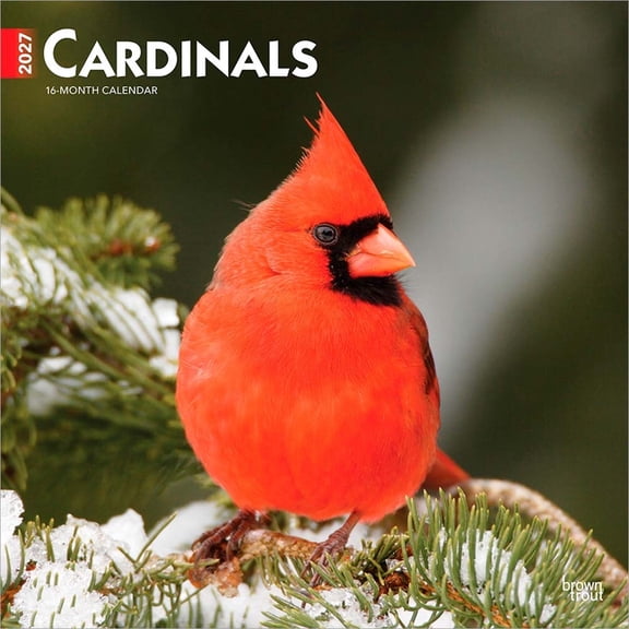 Cardinals 2027 12 X 24 Inch (Hanging) Monthly Square Wall Calendar Plastic-Free, (Paperback)