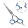 thumbnail image 4 of Professional 6 Inch Hairdressing Scissors with Precise Cutting and Durable Metallic Build for Salon, 4 of 4