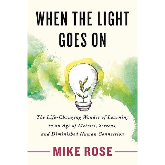 When the Light Goes On : The Life-Changing Wonder of Learning in an Age of Metrics, Screens, and Diminished Human Connection (Paperback)