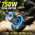 thumbnail image 3 of TST Electric Bike for Adults, 48V/15AH Battery, 20"x4" Fat Tire, 750W Motor Off-Road E Biker, UL2849, 3 of 9