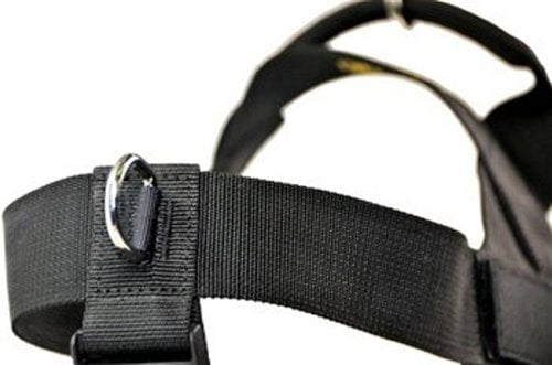 X-Small Black Fits Girth Size: 53cm to 64cm Dean & Tyler Universal No Pull Dog Harness with Adjustable Straps