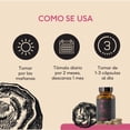 thumbnail image 3 of Hongo Chaga 60 cápsulas veganas Quenut Adaptógenos QUENUT QUENUTCHAGA, 3 of 6