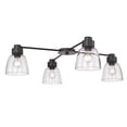 thumbnail image 1 of Golden Lighting Remy 4 Light Flush Mount in Matte Black with Clear Glass Shade, 1 of 4