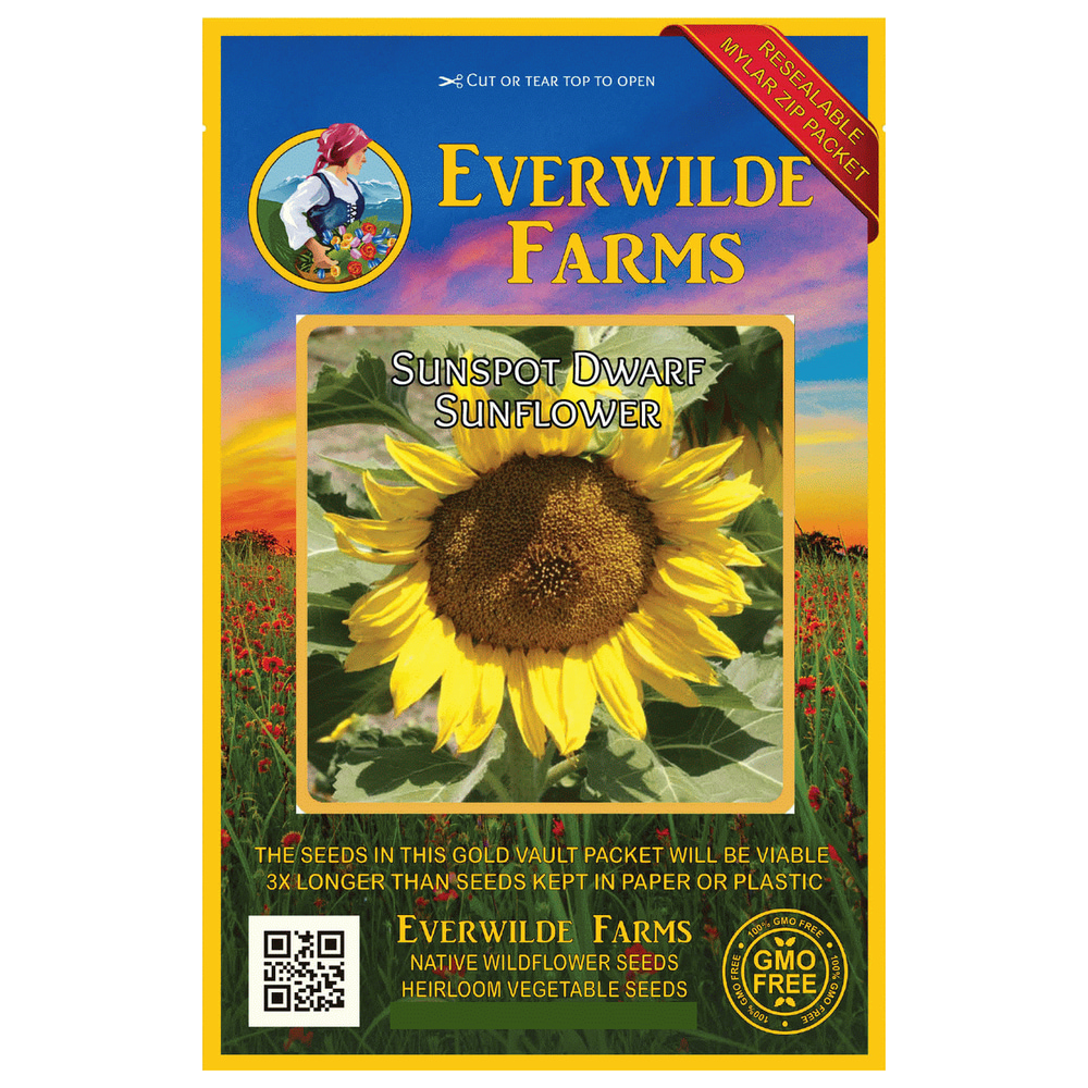 Everwilde Farms 100 Sunspot Dwarf Sunflower Garden Flower Seeds