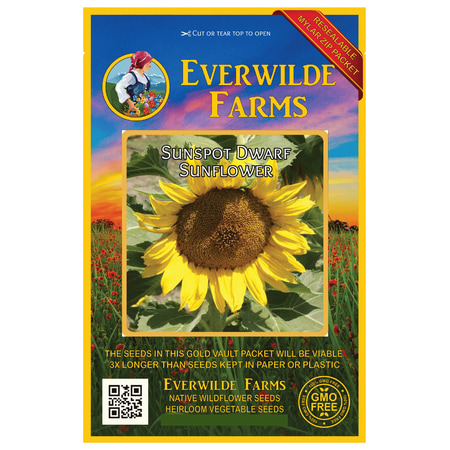 Everwilde Farms - 100 Sunspot Dwarf Sunflower Garden Flower Seeds - Gold Vault Jumbo Bulk Seed