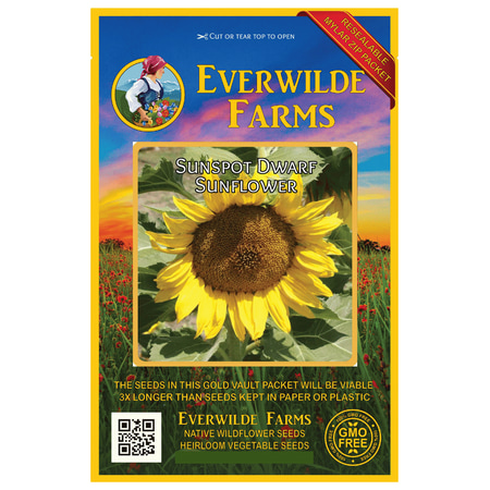 - Everwilde Farms - 100 Sunspot Dwarf Sunflower Garden Flower Seeds - Gold Vault Jumbo Bulk Seed Packet
