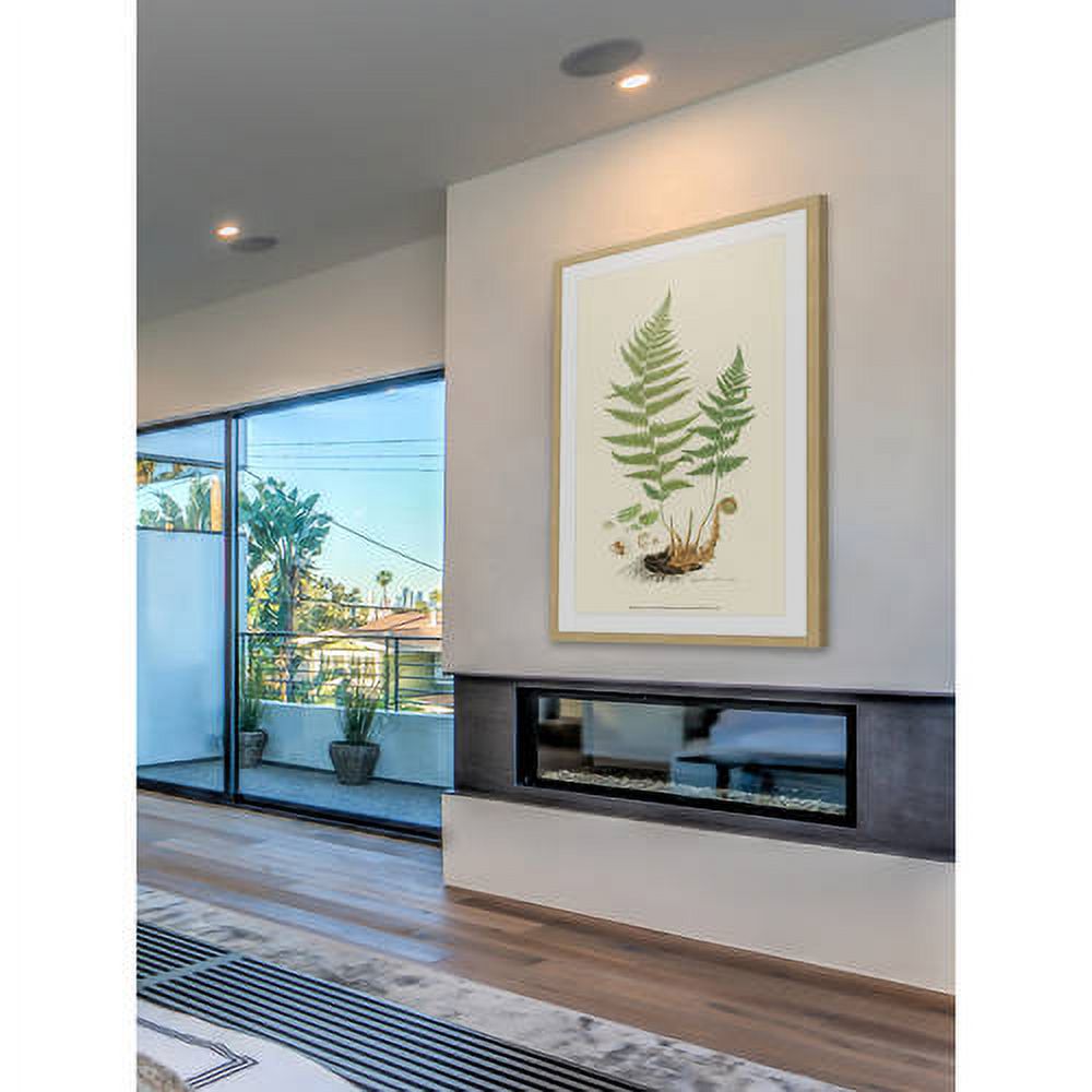 Marmont Hill "Curtis Ferns II" Framed Painting Print