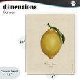 thumbnail image 4 of Stupell Industries French Country Lemon Fruit Portrait Canvas Art, 16 x 20, by Danielle Murray, 4 of 8