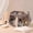 Grey, variant on Large Capacity Retro Vanity Makeup Organizer Transparent Toiletry Storage Travel Cosmetic Bag For Women
