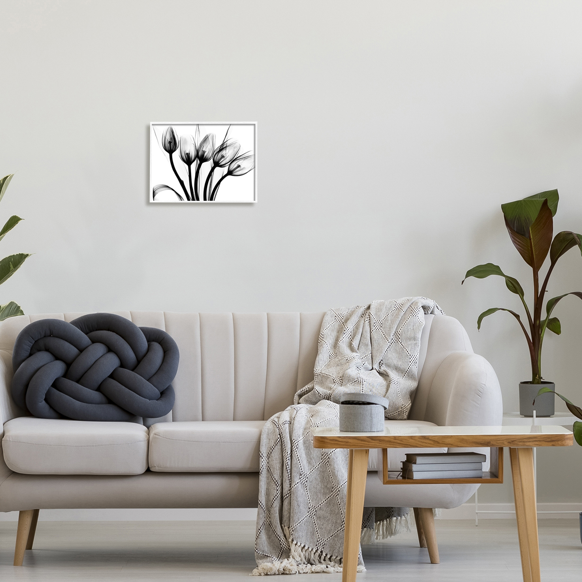 Stupell Industries Modern Tulip Blossom Abstract Monochrome Silhouette Photography White Framed Art Print Wall Art, 14x11, by Albert Koetsier