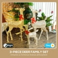 thumbnail image 5 of Lighting Accessories Outsunny 4.5ft 3-Piece Light Up Christmas Deer Family Set of 3, Lighted Reindeer Christmas Decorations with 3 LED Light Modes, Stakes, Zip Ties for Indoor, Outdoor, Yard, Lawn, G, 5 of 9