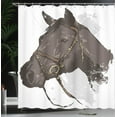 thumbnail image 4 of Ambesonne Animal Shower Curtain, Wild Horse Portrait, 69"Wx75"L, Brown White, 4 of 5