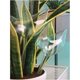 thumbnail image 2 of Bulbos de riego automático del bebedero de plantas, globos de riego de plantas de vidrio transparente soplados a mano para interiores, 2 of 5