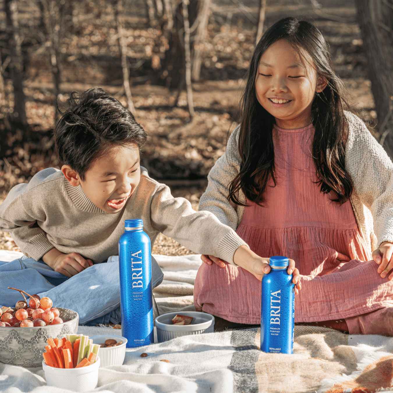 Buy Brita Water Premium Purified Bottled Water, 18 fl oz (12 Pack), BPA