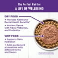 thumbnail image 4 of Wellness Complete Health Natural Grain Free Salmon & Herring Indoor Dry Cat Food, 5.5 Pound Bag, 4 of 8