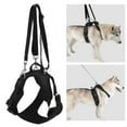 thumbnail image 4 of Dog Lift Harness, Auxiliary Multifunctional Dog Lift Sling Soft Fleece Lined 4 Modes Ergonomic Design  For Front Legs For Medium Dogs S,M,L,XL, 4 of 8