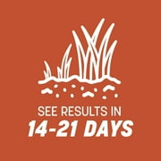 Pennington Bermudagrass Grass Seed, for Full Sun, 15 lb.