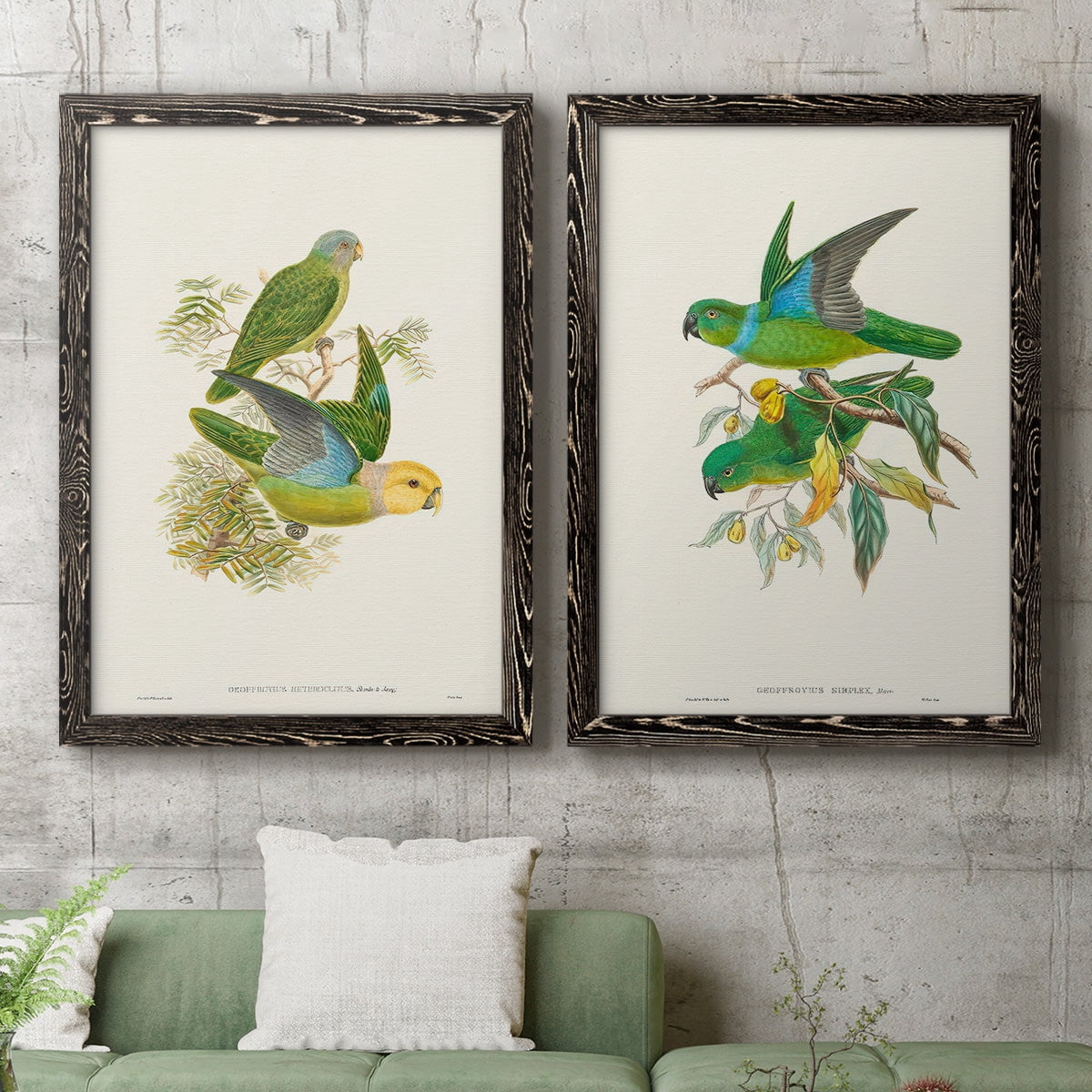 Lime & Cerulean Parrots I - Premium Framed Canvas 2 Piece Set - Ready to Hang