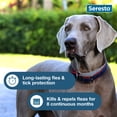 thumbnail image 5 of Seresto Flea & Tick Collar For Dogs Over 18 lbs., Vet-Recommended, 8 Month Protection, 5 of 9