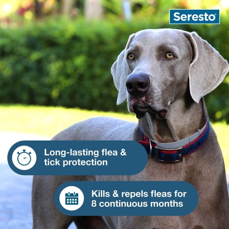 SERESTO FLEA & TICK COLLAR FOR DOGS OVER 18 LBS., VET-RECOMMENDED, 8 MONTH PROTECTION