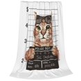 thumbnail image 2 of KLL Cat Holding Mugshot Sign Pattern Fleece Throw Blanket,Fleece Throw Blankets for Couch & Bed All Season Use-50"x40", 2 of 7