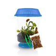 thumbnail image 1 of Kit de planta carnívora Venus Flytrap con terrario de 11 cm, 1 of 8