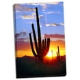 thumbnail image 2 of Gango Home Decor Saguaro Sunset by Douglas Taylor (Ready to Hang); One 24x36in Hand-Stretched Canvas, 2 of 4