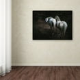 thumbnail image 3 of Holger Droste 'Come ' Canvas Art, 3 of 3