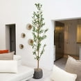 thumbnail image 3 of Nearly Natural 8ft. Artificial Olive Tree with Natural Trunk, 3 of 6