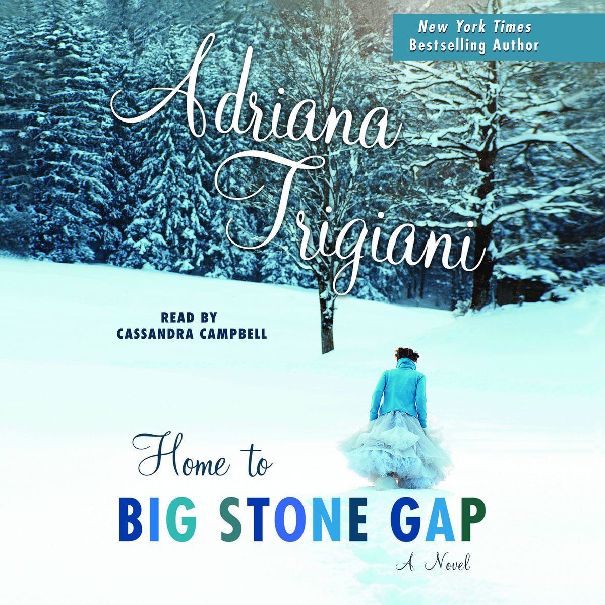 Home to Big Stone Gap Audiobook
