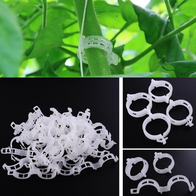 200PC Plant Vines Plastic Fixing Clips – Garden Plant Support Clips for Securing Vines, Flowers & Climbing Plants