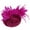 Hot Pink, variant on Penkiiy Women's Fascinator Hat Imitation Sinamay Feather Tea Party Pillbox Flower Derby Cocktail Flower Mesh Feathers Headwear Hair Clip for Wedding Hot Pink