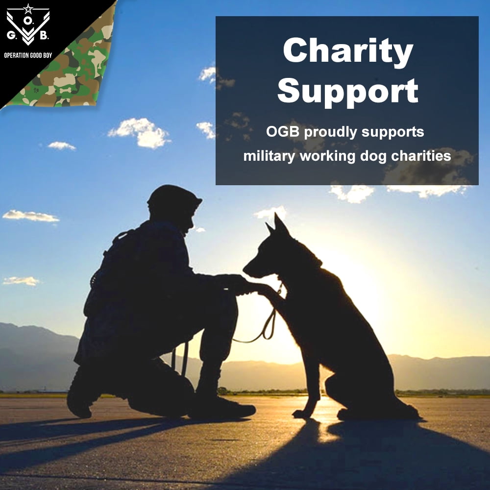 Operation Good Boy Grenade, Non-Toxic Dog Toy Grenade with Treat Pocket for Aggressive Chewers, Green