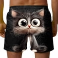 thumbnail image 5 of Men's Shorts Elastic Waist Big and Tall Colorful Printed Casual Swim Shorts, 5 of 6