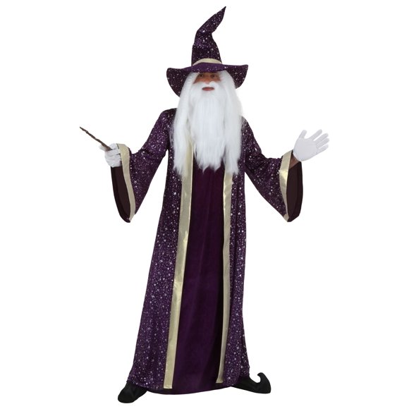 Plus Size Wizard Costume
