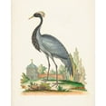 thumbnail image 2 of Edwards, George 12x14 Gold Ornate Wood Framed with Double Matting Museum Art Print Titled - Antique Heron and Cranes II, 2 of 4