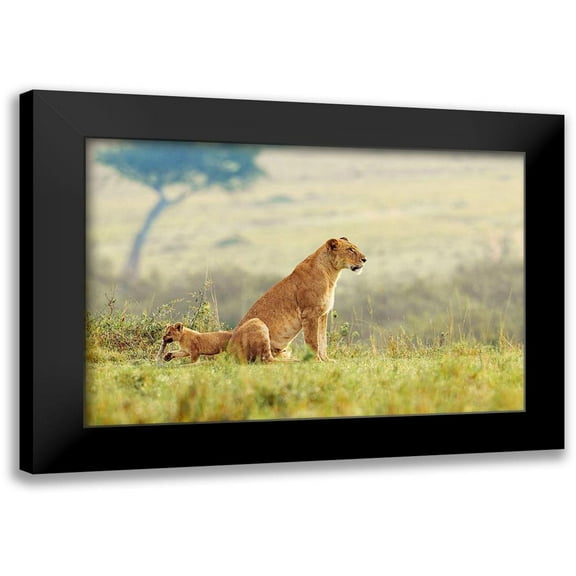 Lake, Shelley 14x11 Black Modern Framed Museum Art Print Titled - A Lions Tail
