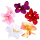 thumbnail image 1 of 5 uds horquillas de flores accesorios bonitos para horquillas para el cabello pequeñas pinzas para el cabello para niñas adolescentes, 1 of 5