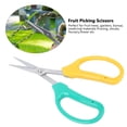 thumbnail image 4 of Grape Pruning Shears, Stainless Steel Bonsai Shears Fruit Branch Picking Scissors For Garden, 4 of 8