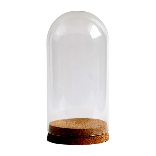 Vitrina De Cristal Con Base De Madera 9x20 Cm | Cúpula Portátil Hecha A Mano | Ideal Para Proyectos De Bricolaje, Miniatura, Flores Secas O Coleccionismo | Regalo Artesanal