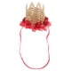 thumbnail image 1 of EeaseMX Baby's First Birthday Crown Rose Flower Encaje de malla Tocado Baby Girl 1st Birthday Hat Artículos de fiesta Sombrero de cumpleaños Photo Prop Diademas Accesorios para el cabello (Rojo), 1 of 7