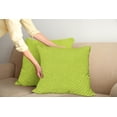 thumbnail image 2 of Ambesonne Floral Throw Pillow Cover 2 Pack, Symmetrical Little Petals, 18", Apple Green Pale Green, 2 of 5